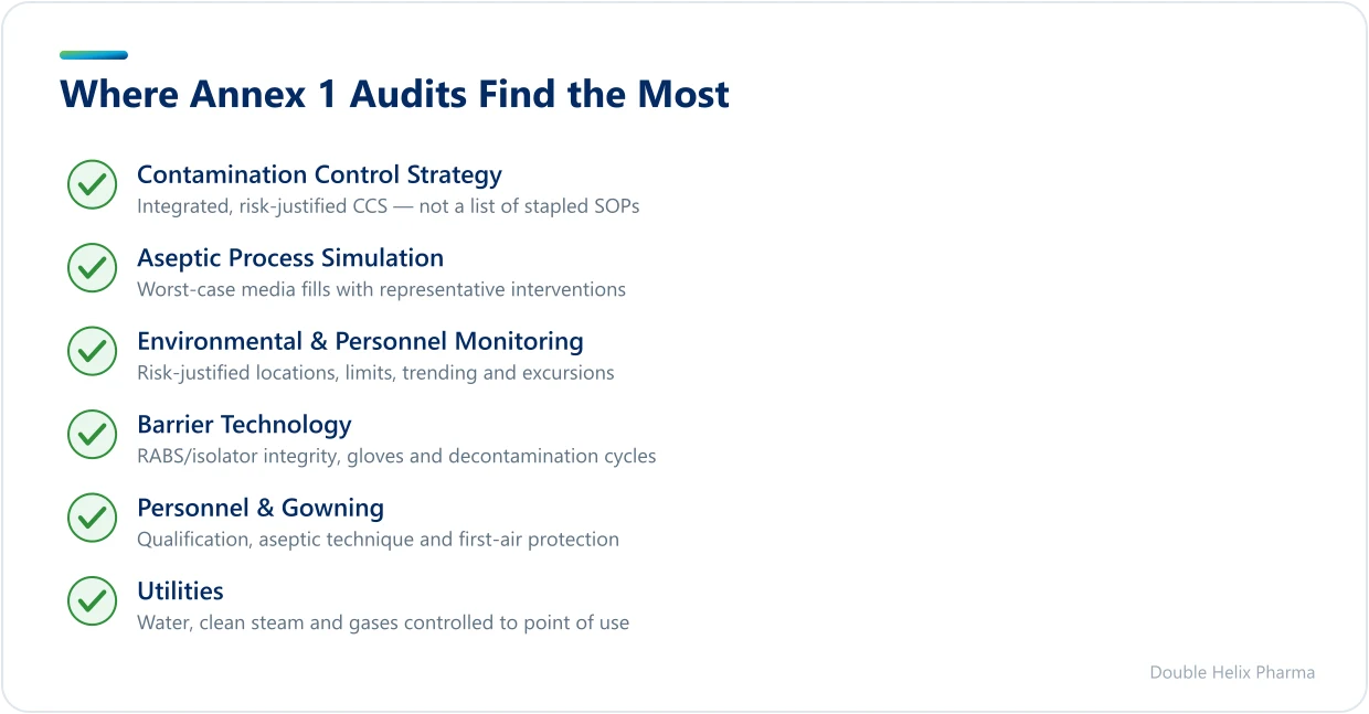 Five high-risk focus areas in a sterile Annex 1 audit