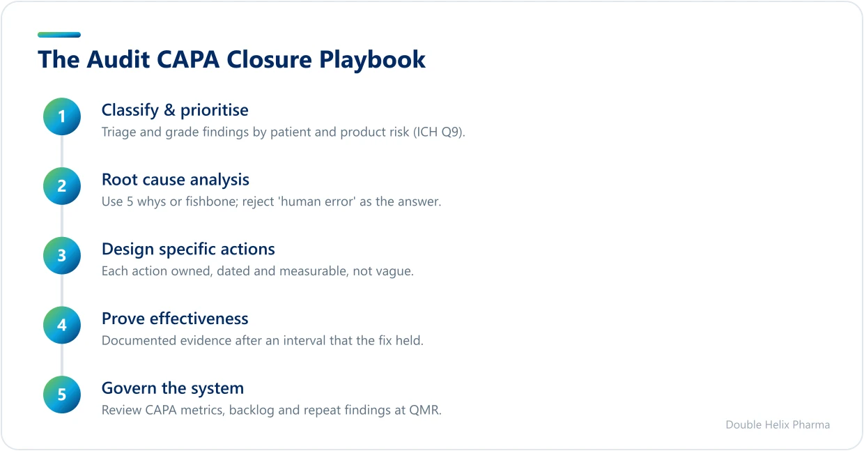 Five-step process for closing out audit findings with CAPA