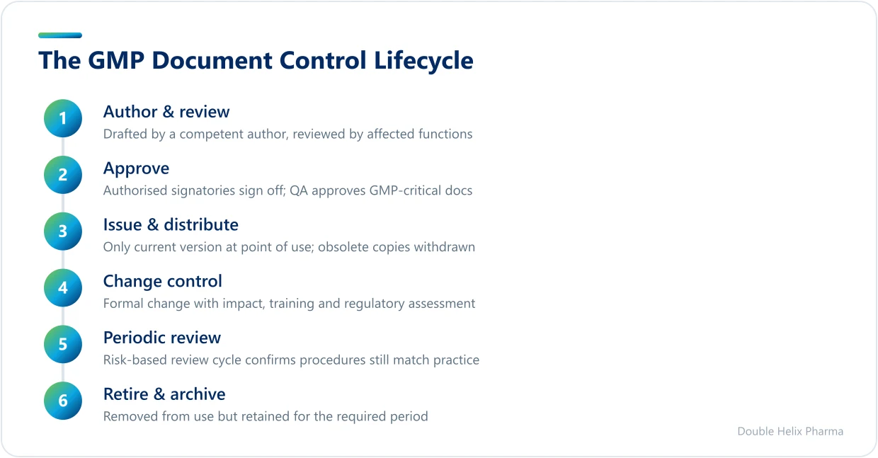 Five-stage lifecycle of a controlled GMP document from authoring to archiving