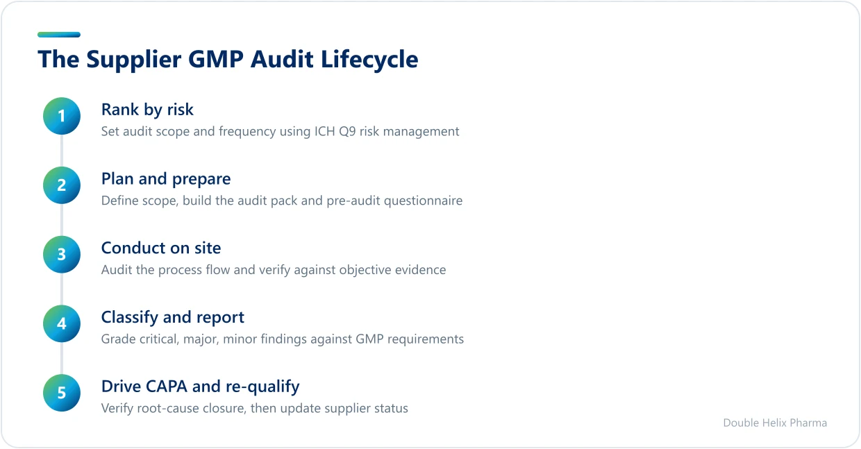 Five ordered stages of running a supplier GMP audit, from risk ranking to CAPA closure