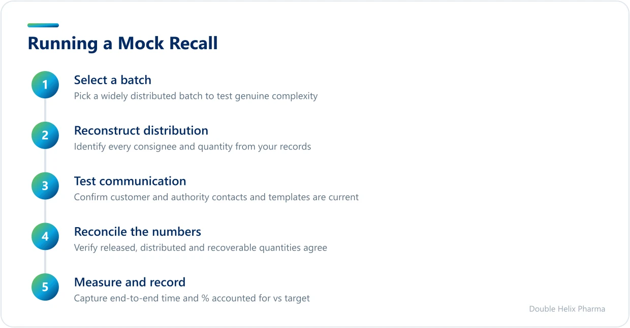Five stages of a pharmaceutical mock recall, from selecting a batch to measuring results