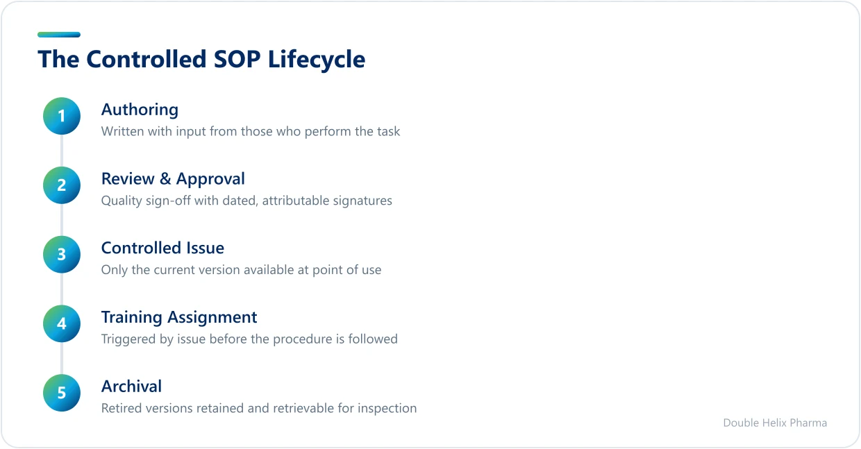 Five ordered stages of the controlled SOP lifecycle from authoring to archival